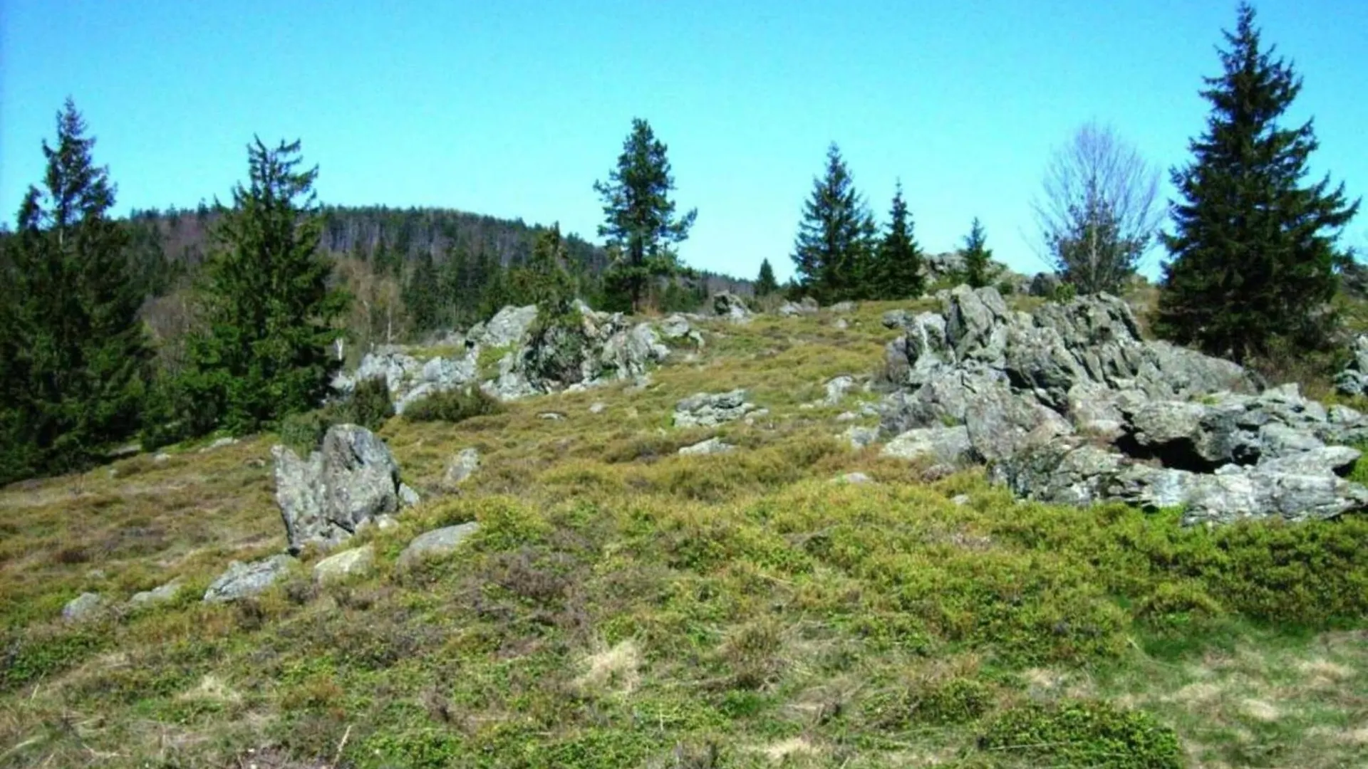 Farmhouse In Neukirchen Near Heiligen Blut 노이키르헨바임하일링겐블룻 0*,